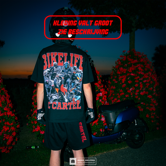Zomerset V1