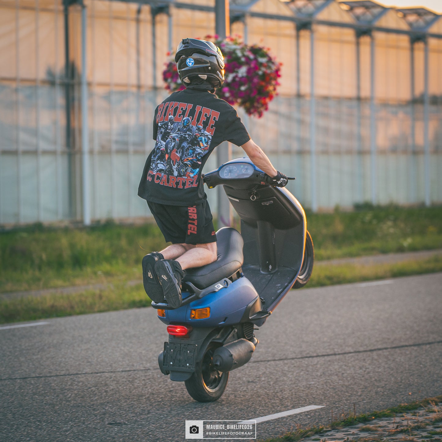 Zomerset V1